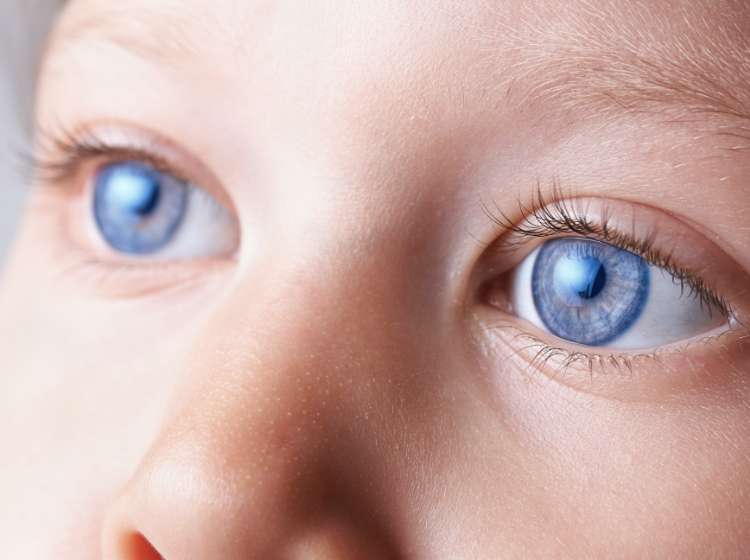 a child's eyes