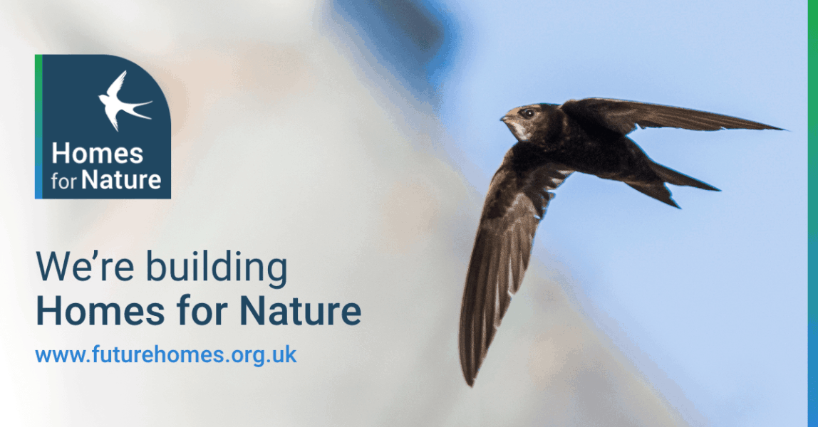 Homes for nature 1200x627 swift